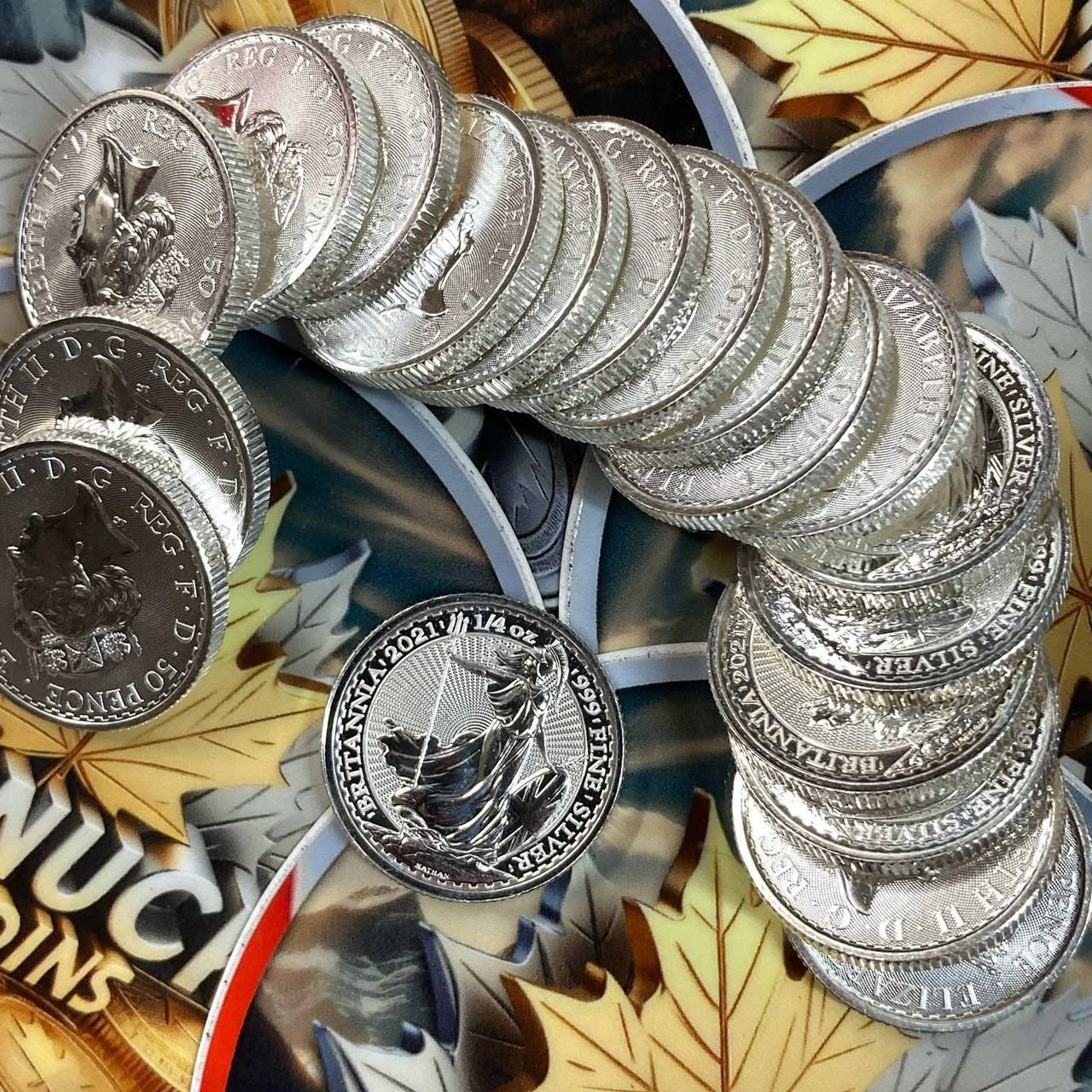 WhatsApp Image 2026-01-03 at 08.44.18